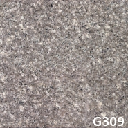 G309